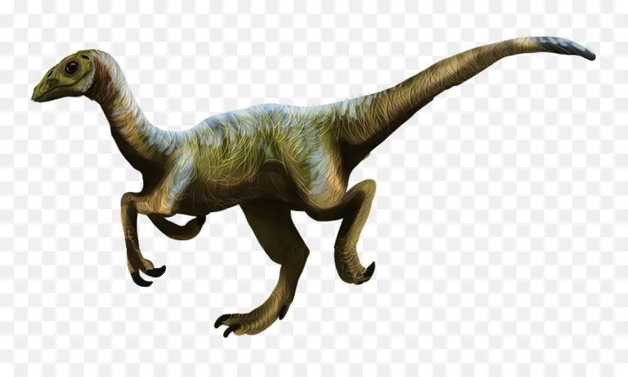 Dinosaure Vert，Préhistorique PNG