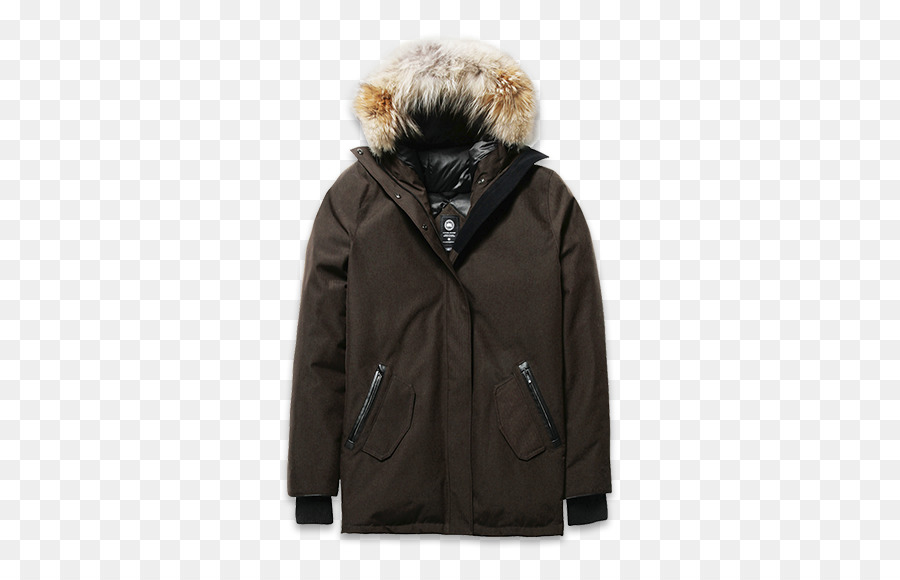 Veste D'hiver，Manteau PNG