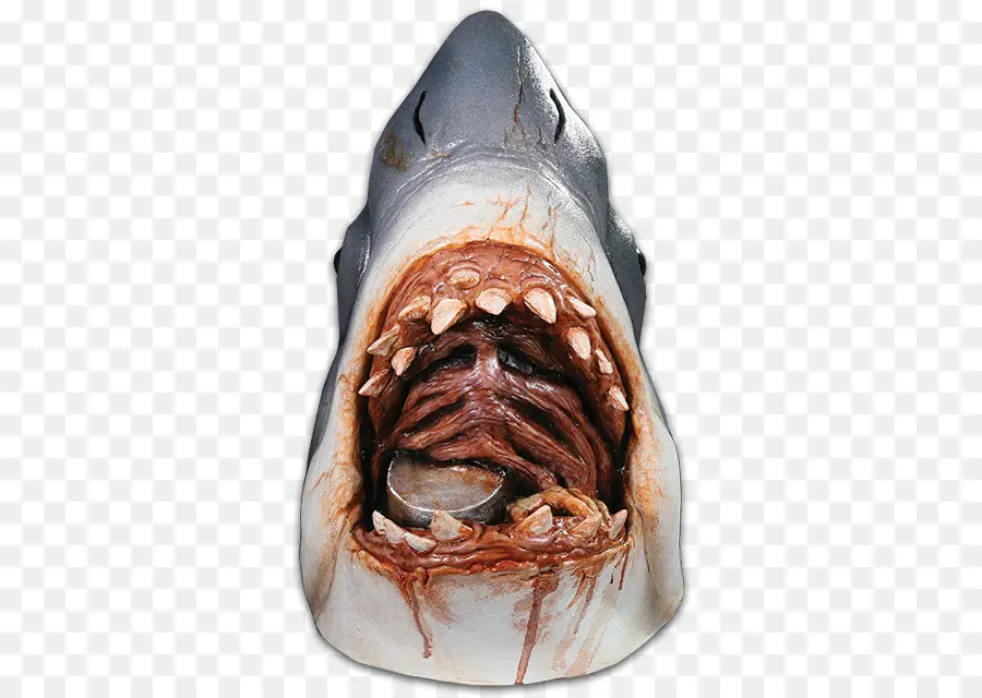 Bouche De Requin，Dents PNG