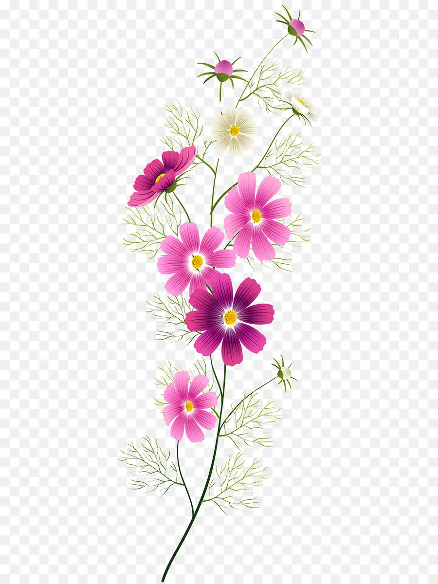 Art Floral，Fleur PNG