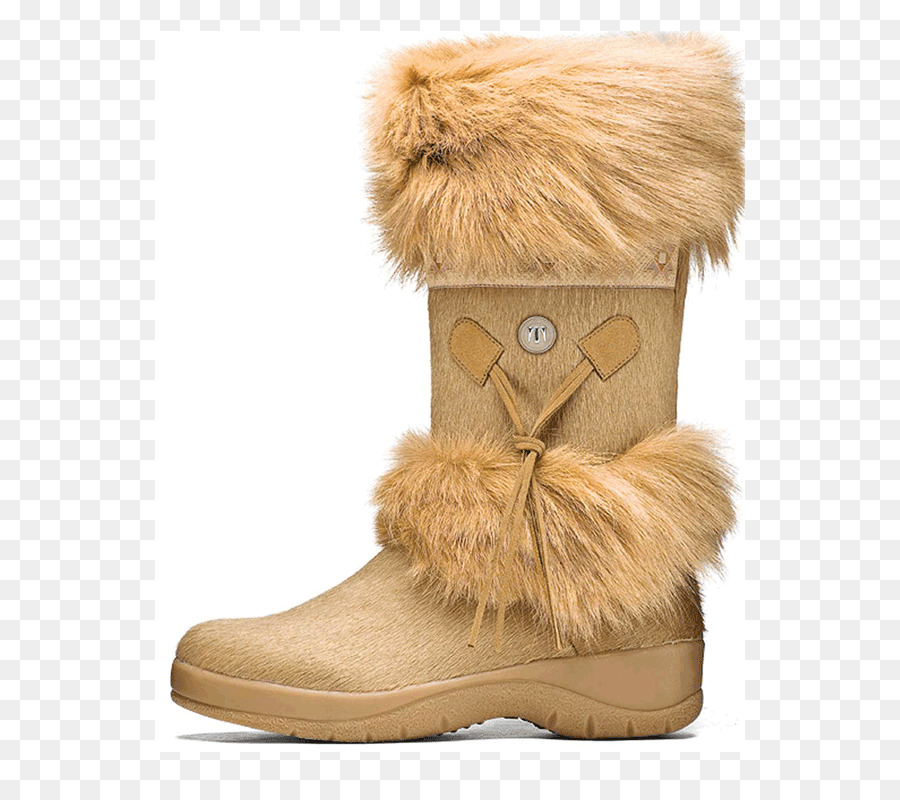 Bottes De Neige，Chaussure PNG