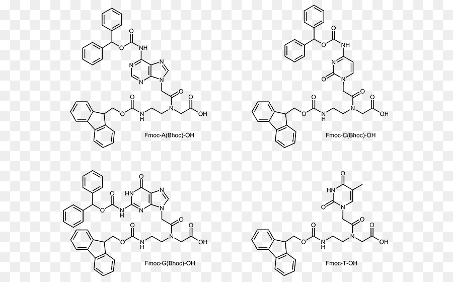 Acide Nucléique Peptidique，Oligonucléotide PNG