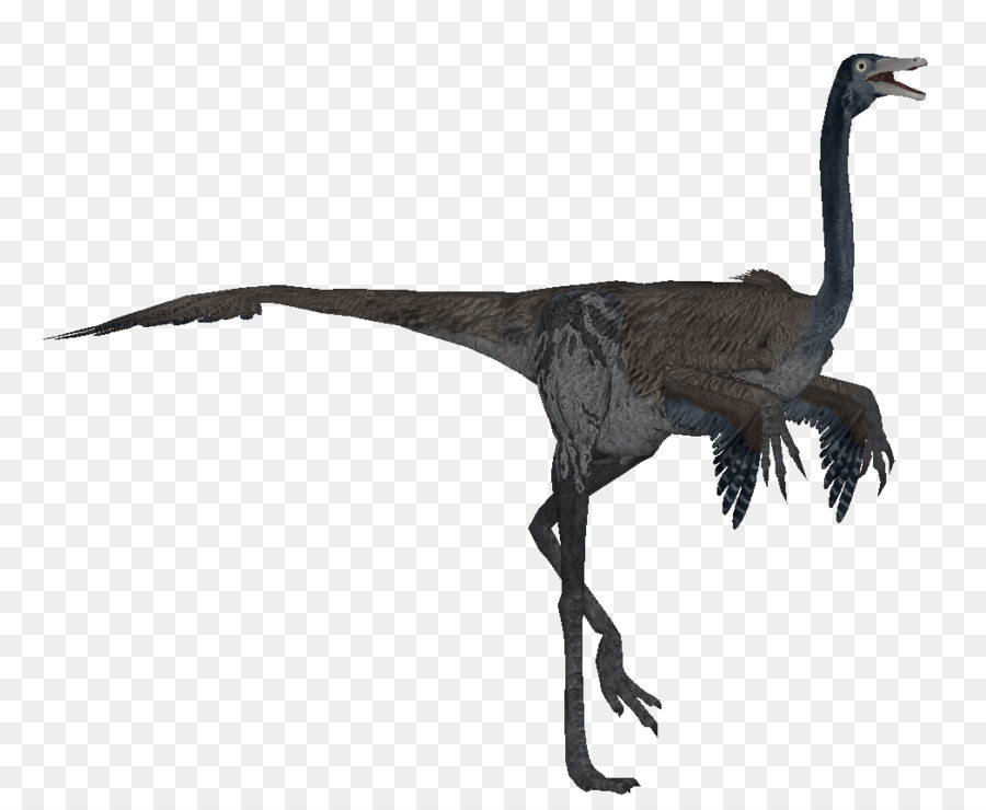 Velociraptor，Oiseau PNG