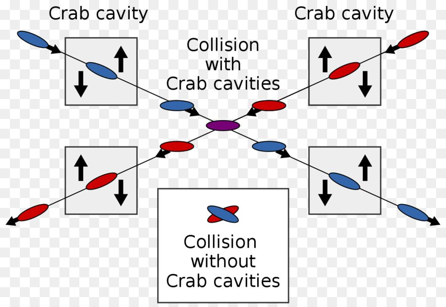 Le Crabe De La Cavité，Gâteau PNG