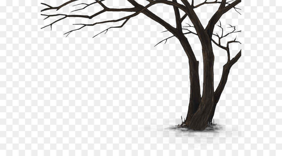 Arbre Nu，Hiver PNG