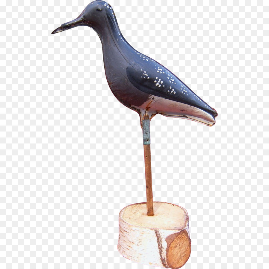 D échassiers，D Oiseaux De Mer PNG