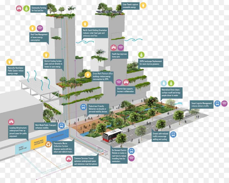 Conception Urbaine Verte，Durabilité PNG