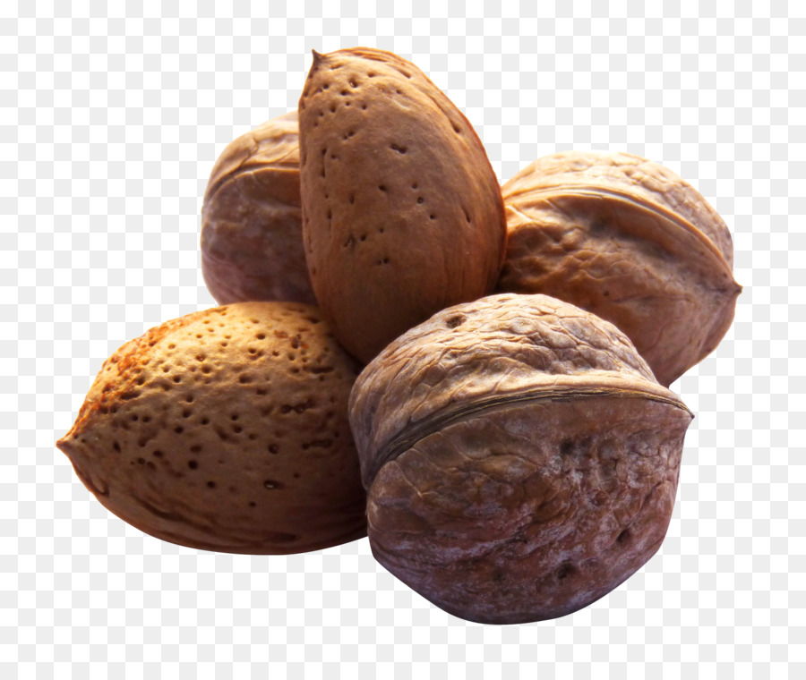 Noix，Amandes PNG