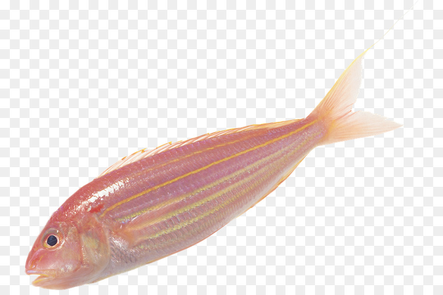 Poisson，Fruit De Mer PNG