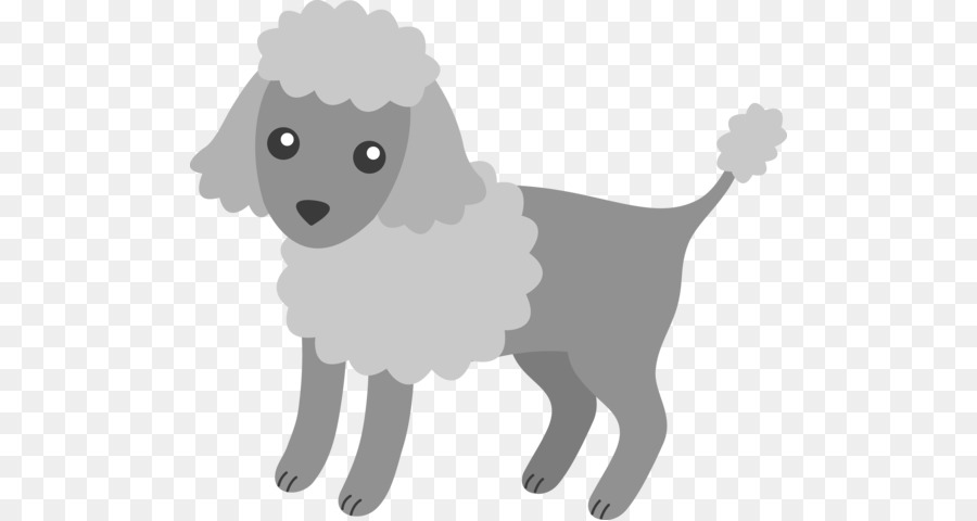 Caniche，Caniche Toy PNG