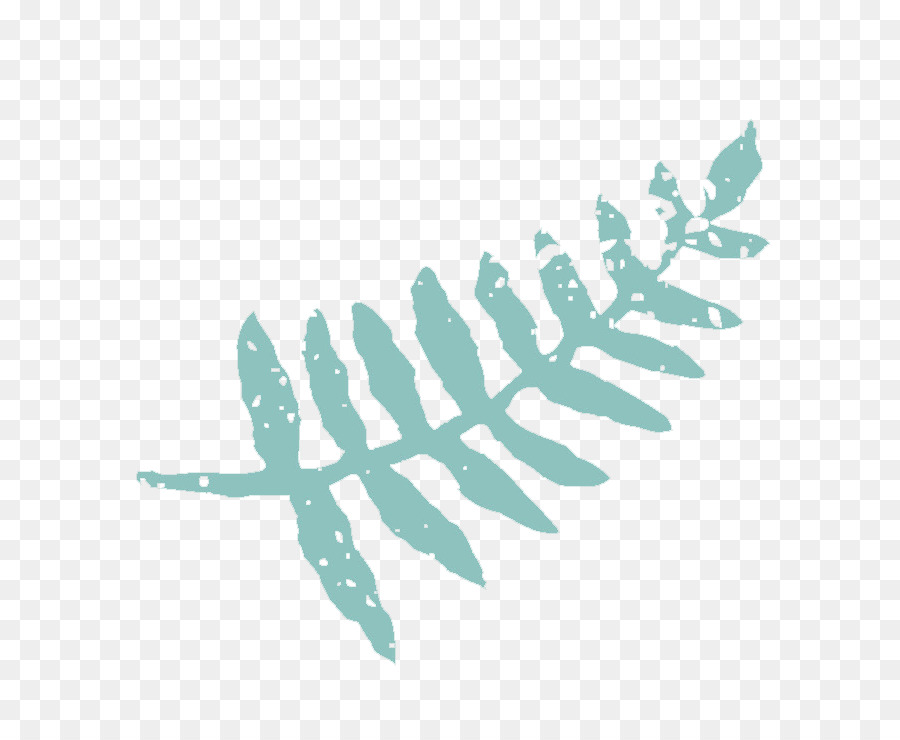 Feuille，Turquoise PNG