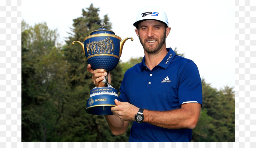 Pga Tour，Championnats Du Monde De Golf PNG