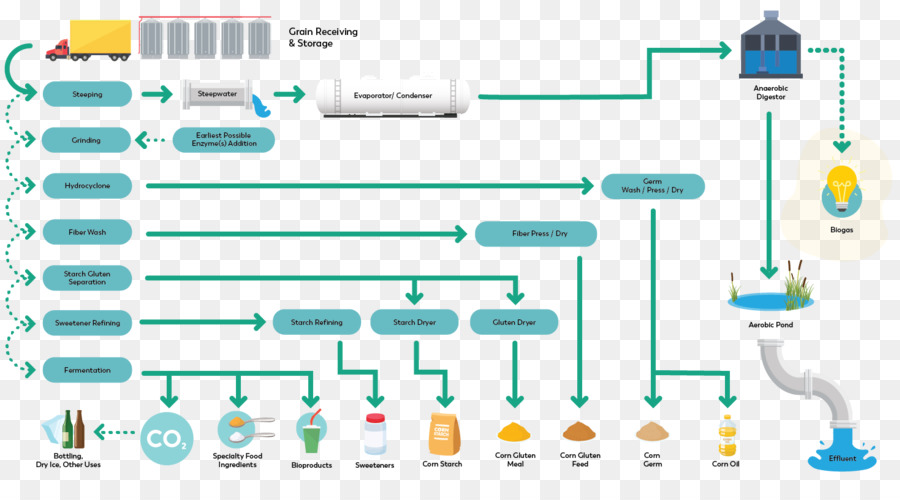 Organigramme Du Processus，Couler PNG