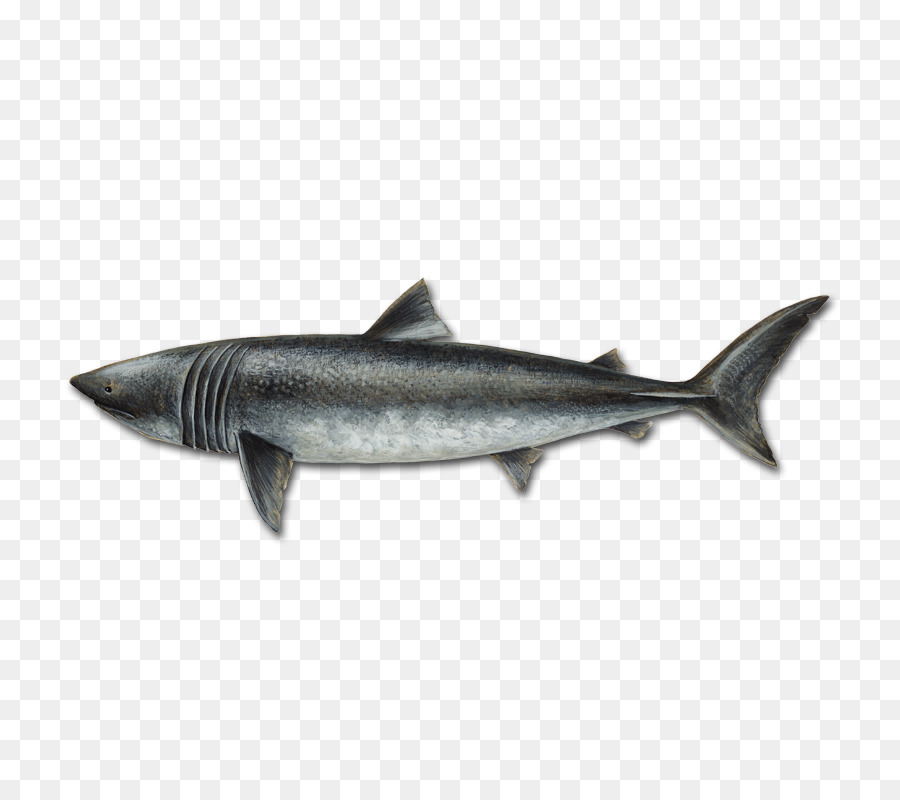 La Sardine，Les Poissons Gras PNG