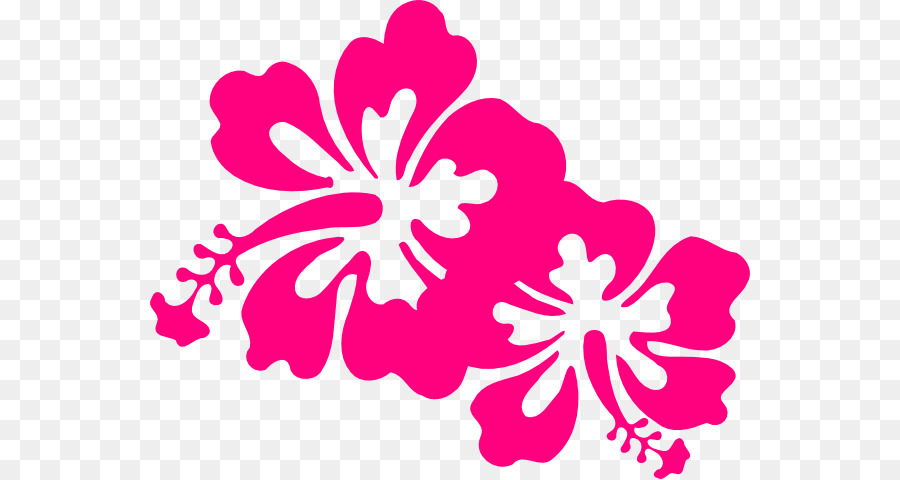 Hibiscus，Fleurs Roses PNG