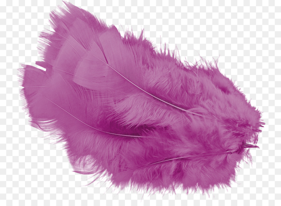 Plume，E Mail PNG