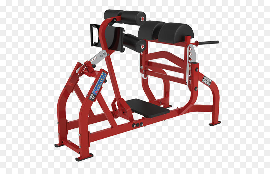 Banc De Musculation，Salle De Sport PNG