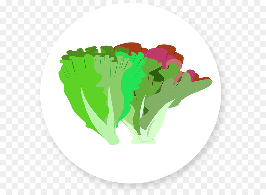 Mesclun，Vinaigrette PNG