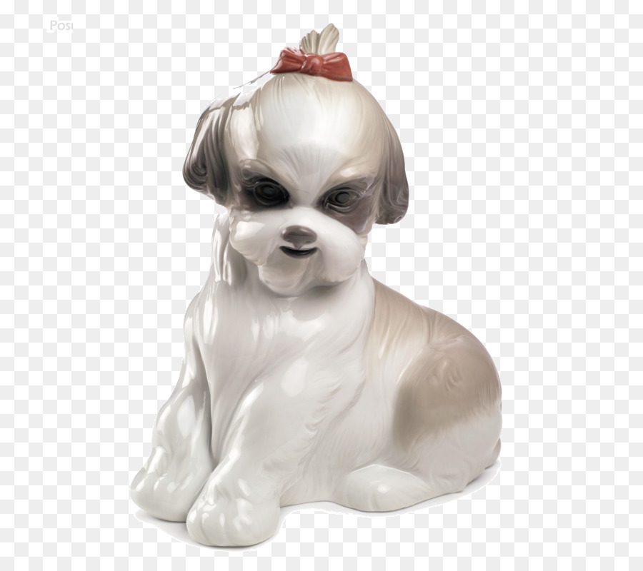 Race De Chien，Shih Tzu PNG