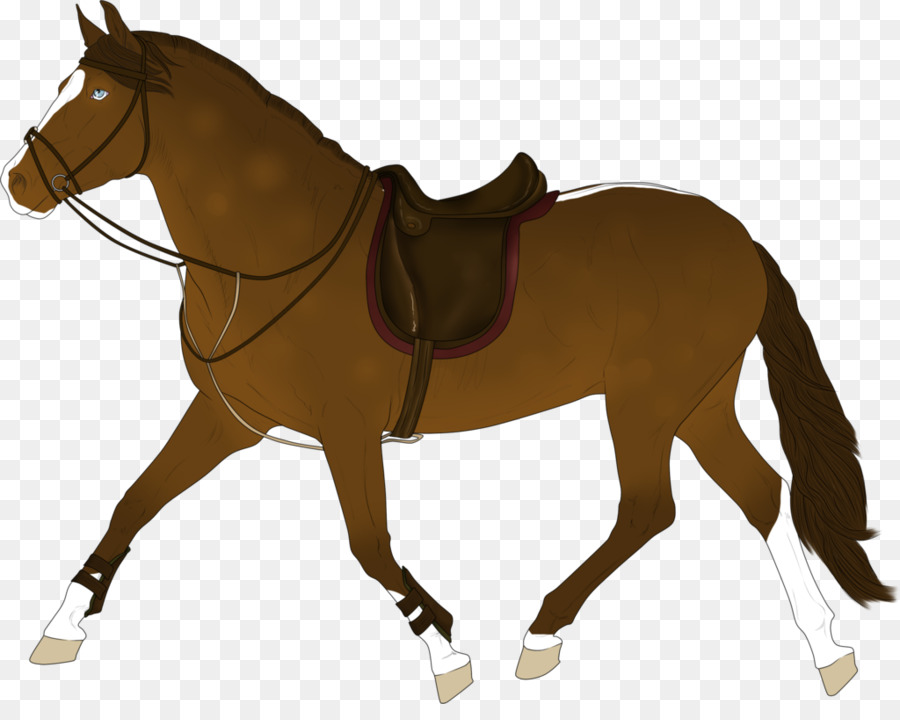 Cheval，équidé PNG