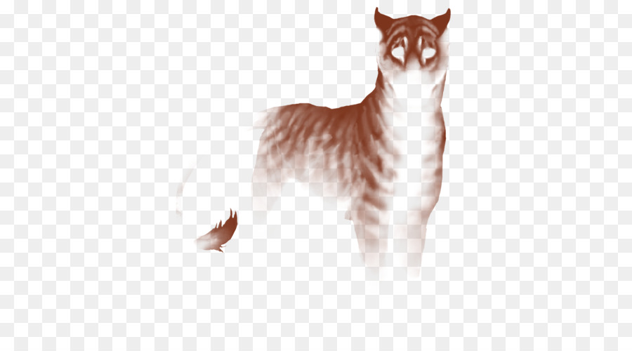 Chat Fantôme，Yeux PNG