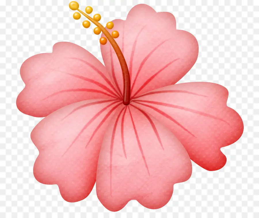 Fleur，Rose PNG