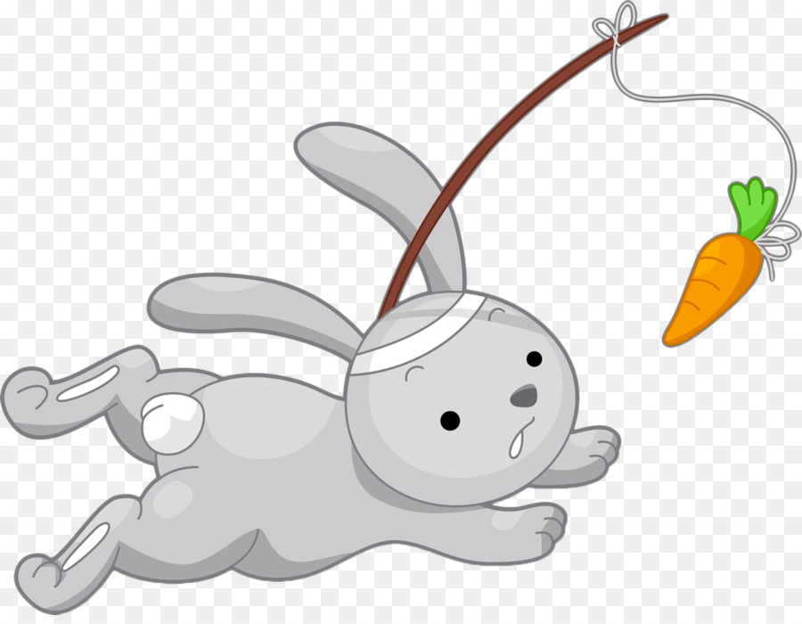 La Photographie De Stock，Lapin PNG