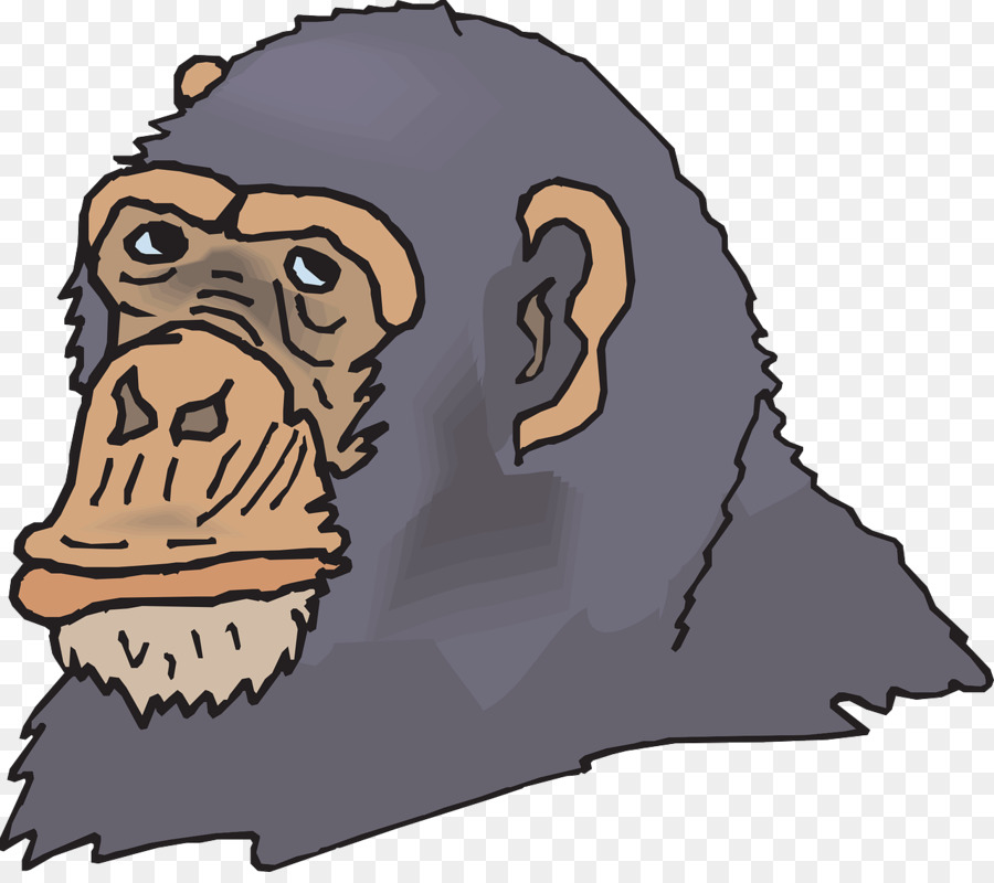 Chien，Chimpanzé Commun PNG