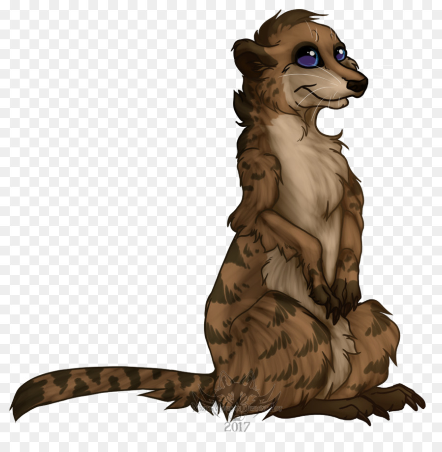 Raton Laveur，Suricates PNG