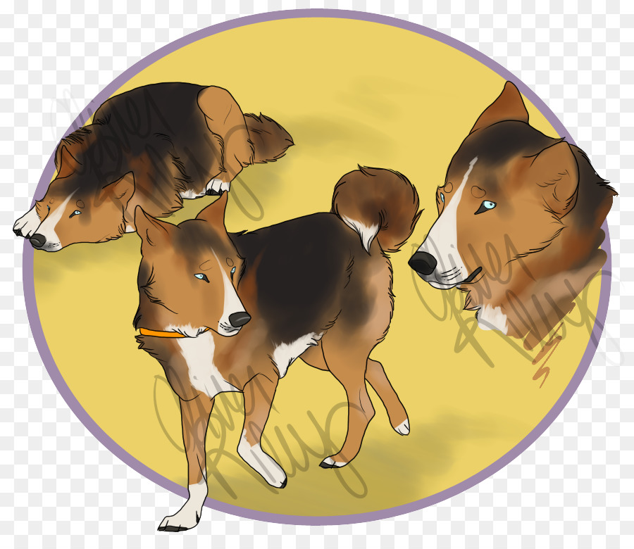 Chien，Museau PNG