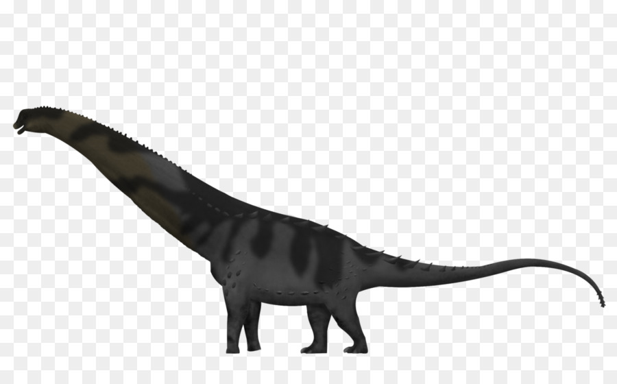 Alamosaurus，Le Tyrannosaure PNG