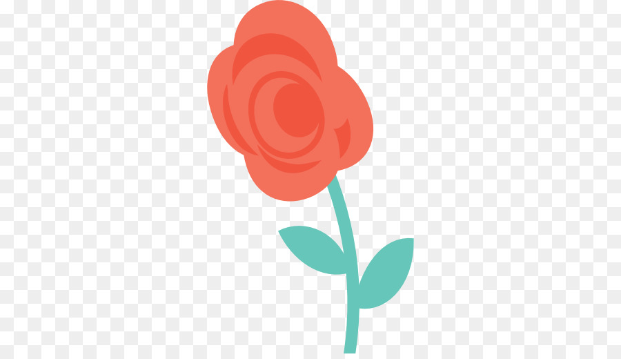 Roses，Floraison PNG