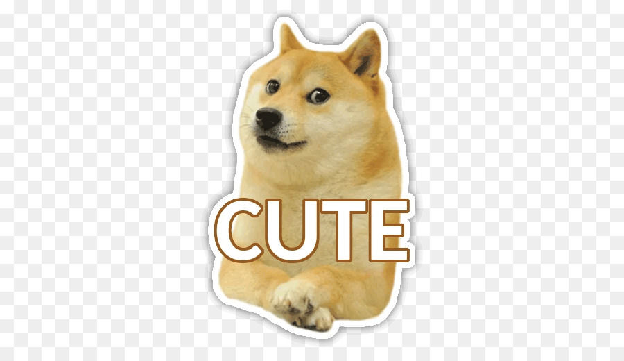 Shiba Inu，Chien PNG