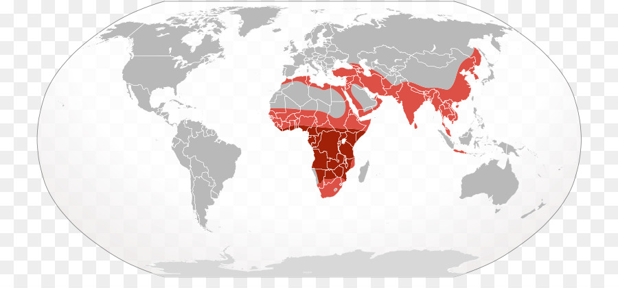 Monde，Carte Du Monde PNG