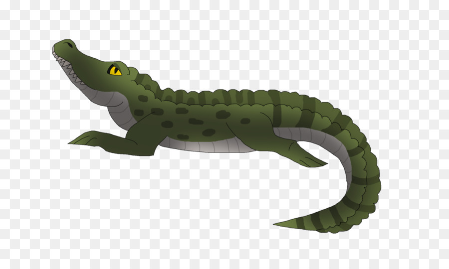 Crocodile Noir，Reptile PNG