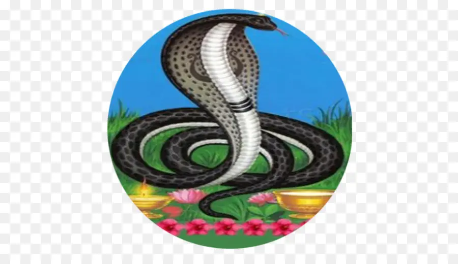 Cobra，Serpent PNG