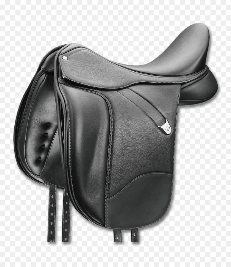 Selle De Cheval，Cheval PNG