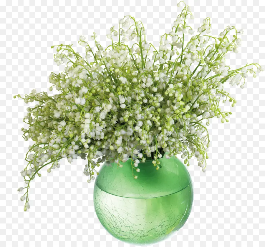 Vase à Fleurs，Fleurs PNG