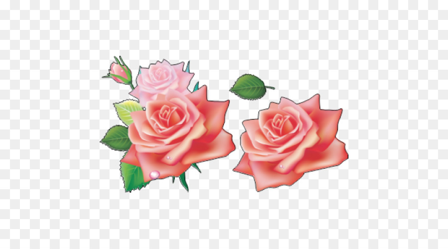 Roses Roses，Bouquet PNG