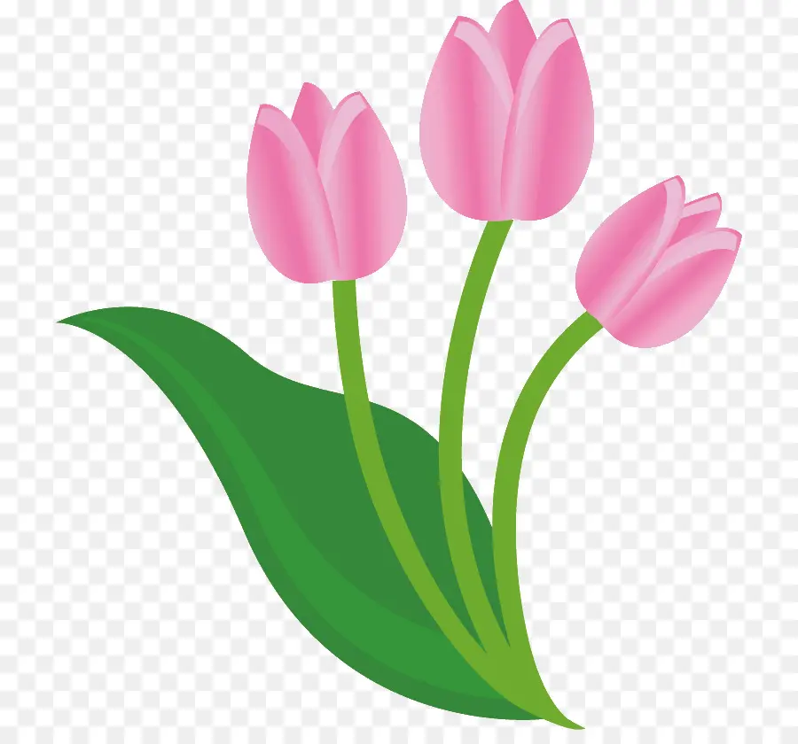 Bouquet De Tulipes，Bouquet PNG