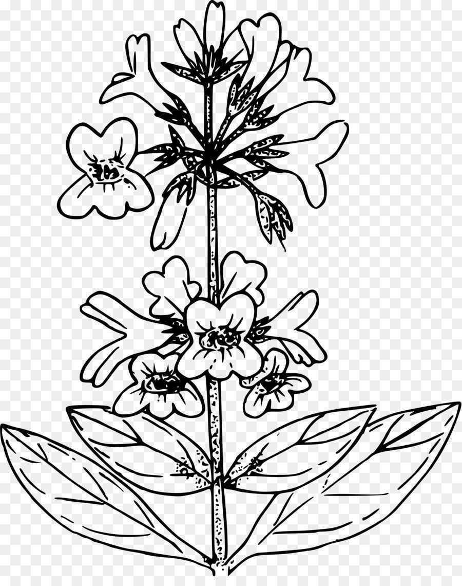 Dessin De Fleur，Noir Et Blanc PNG