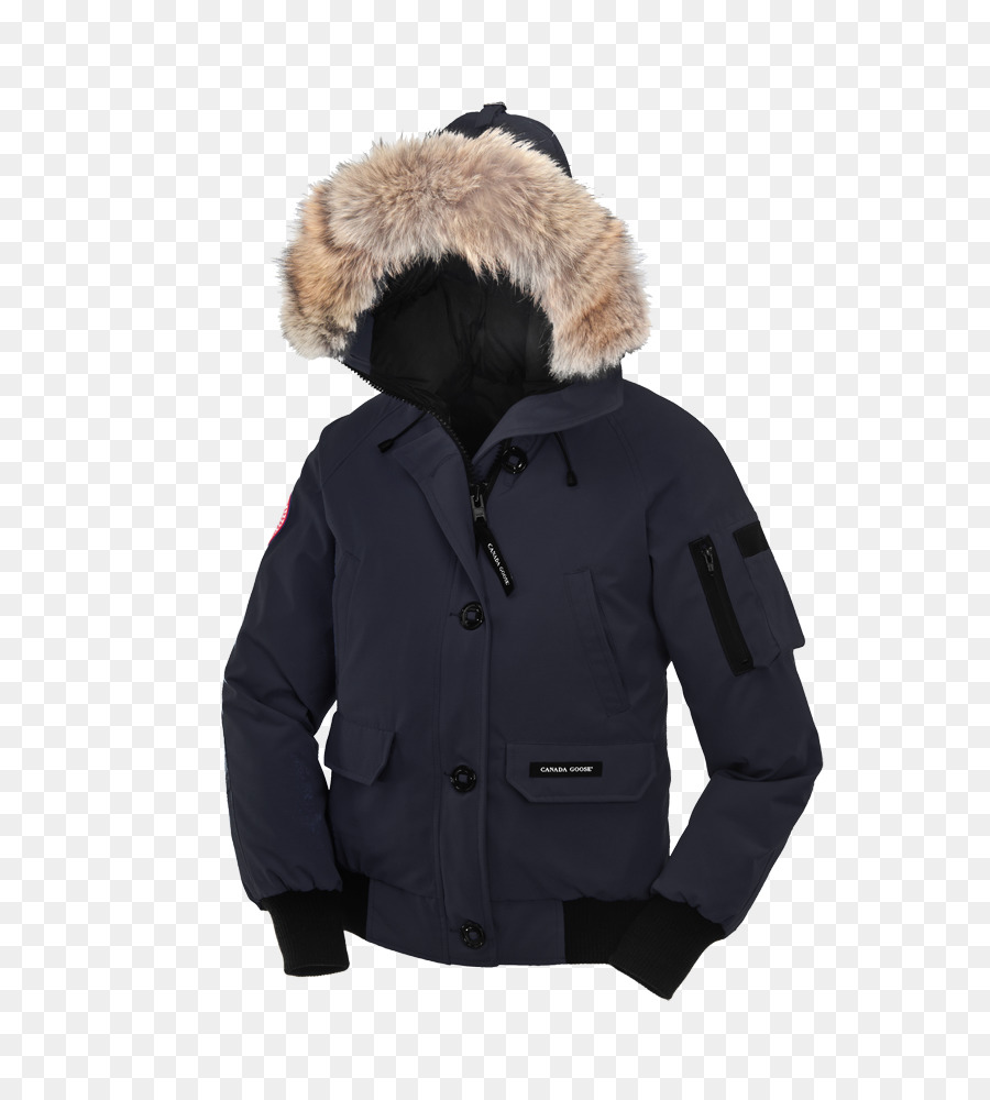 Veste D'hiver，Capot PNG