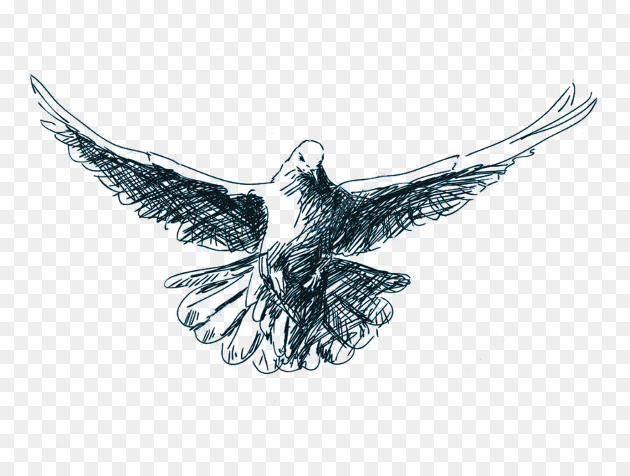 Oiseau Volant，Ailes PNG