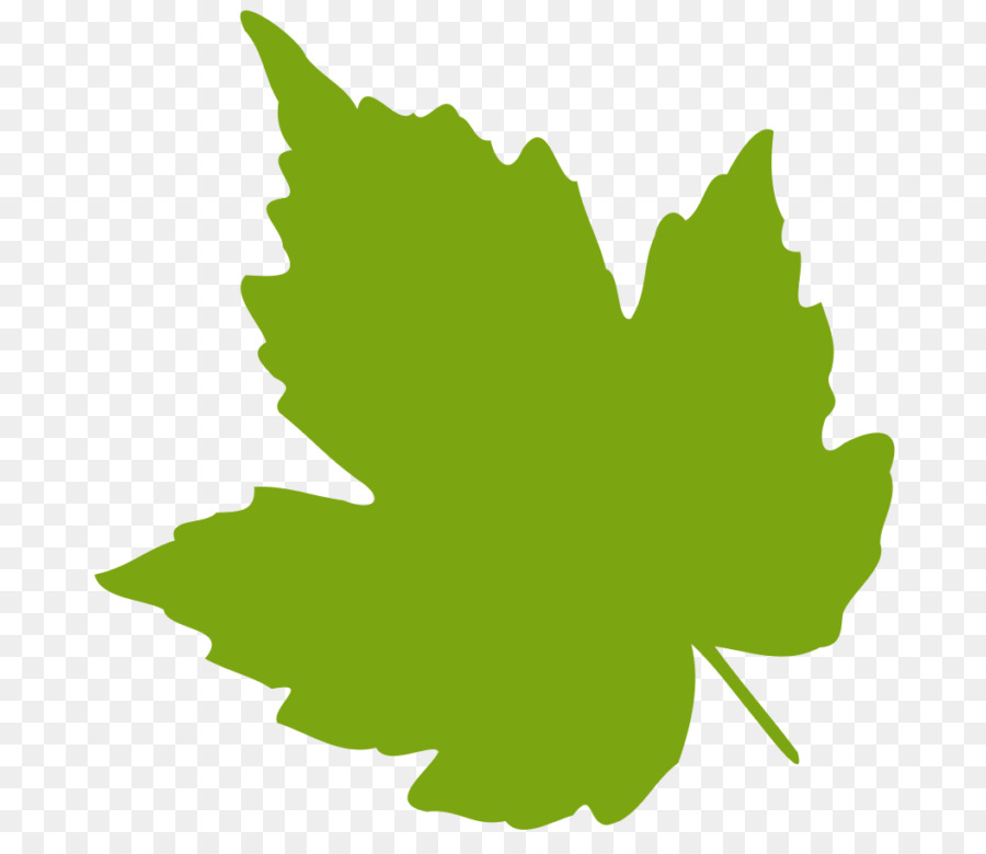 Feuille，Usine PNG