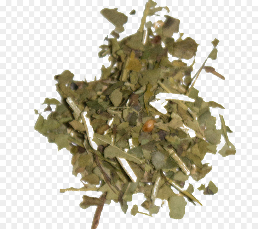 Bancha，Feuille PNG
