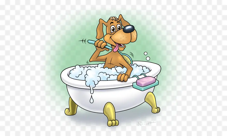 Chien Dans La Baignoire，Bain PNG