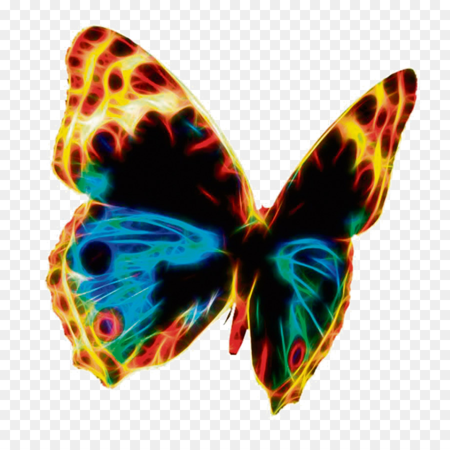 Papillon，Domaine Public PNG