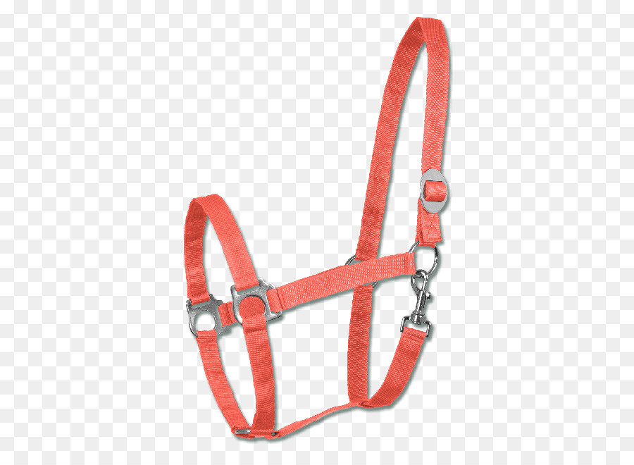 Ceinture Orange，Mode PNG