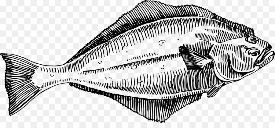 Poisson，Aquatique PNG