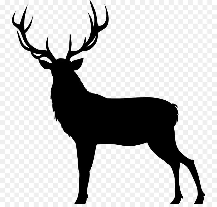 Silhouette De Cerf，Bois PNG